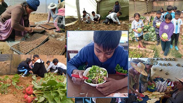 De la siembra a la cosecha: huertos en Cochabamba